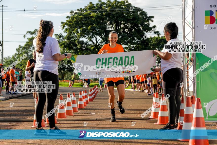 Circuito Eco 2