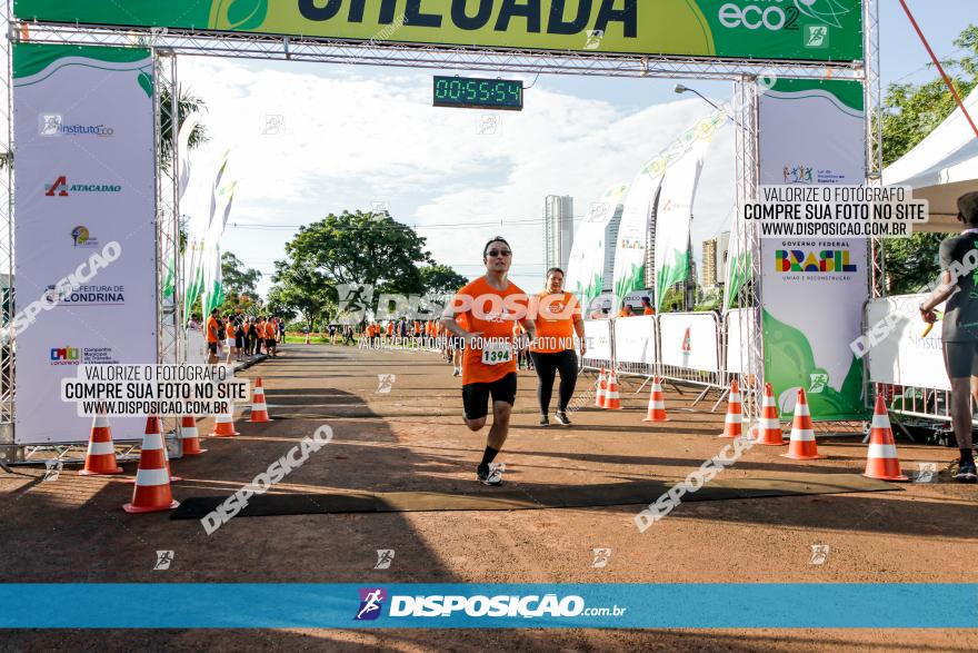 Circuito Eco 2