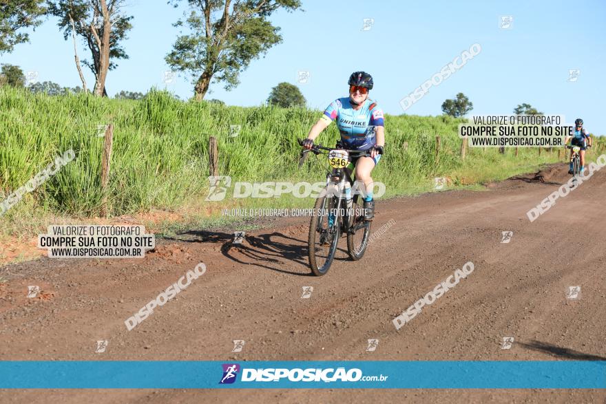 X GP Loanda MTB XCM