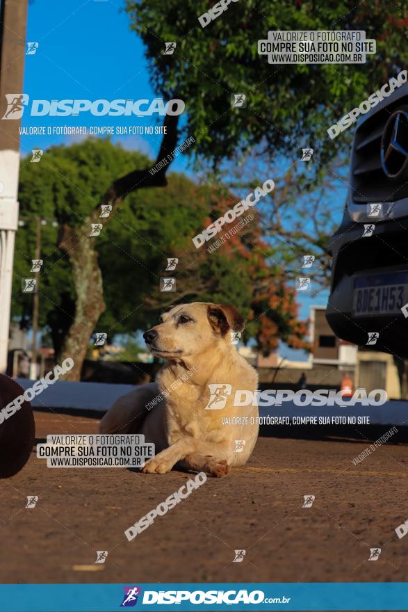 2ª Corrida Solidária 15º BPM