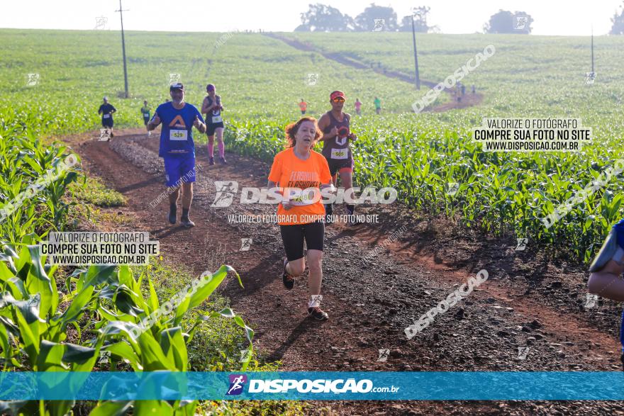 Circuito Unimed Off-Road 2023 - Limoeiro