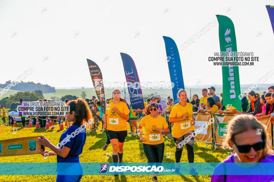 Circuito Unimed Off-Road 2023 - Limoeiro