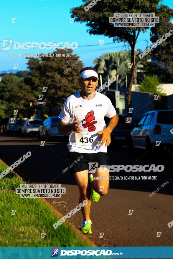 Corrida Pedestre de Rio Bom