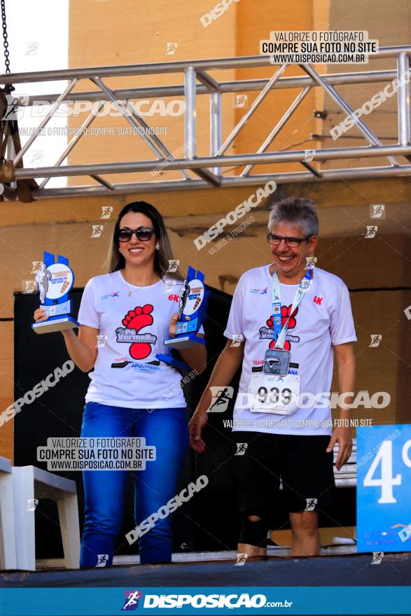 Corrida Pedestre de Rio Bom