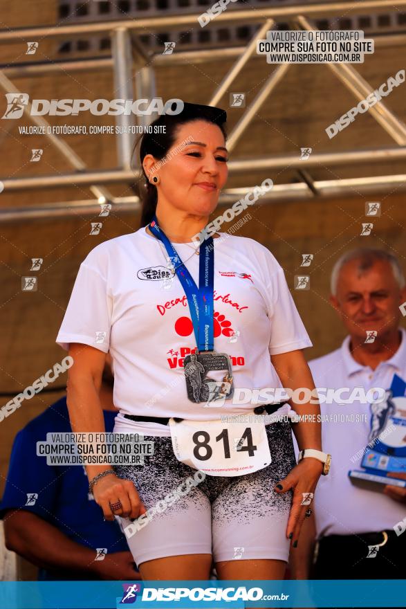 Corrida Pedestre de Rio Bom