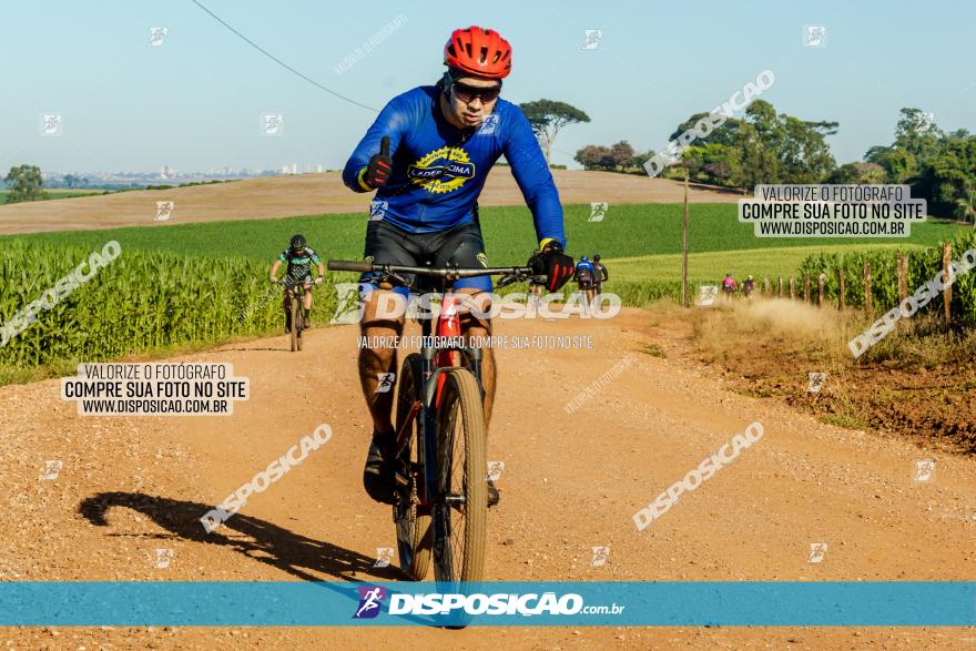 7º PEDAL DO TRABALHADOR DA VITAL BIKES