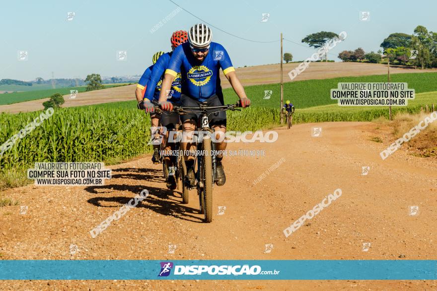 7º PEDAL DO TRABALHADOR DA VITAL BIKES