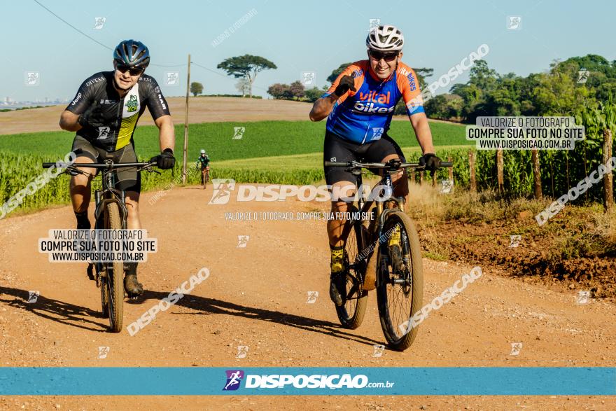 7º PEDAL DO TRABALHADOR DA VITAL BIKES