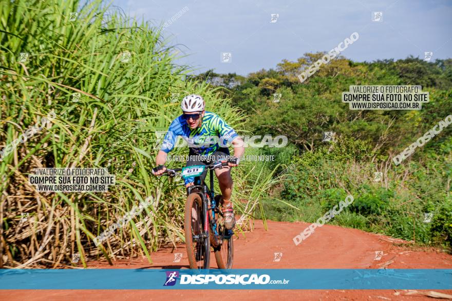 Circuito AEJ MTB 2023