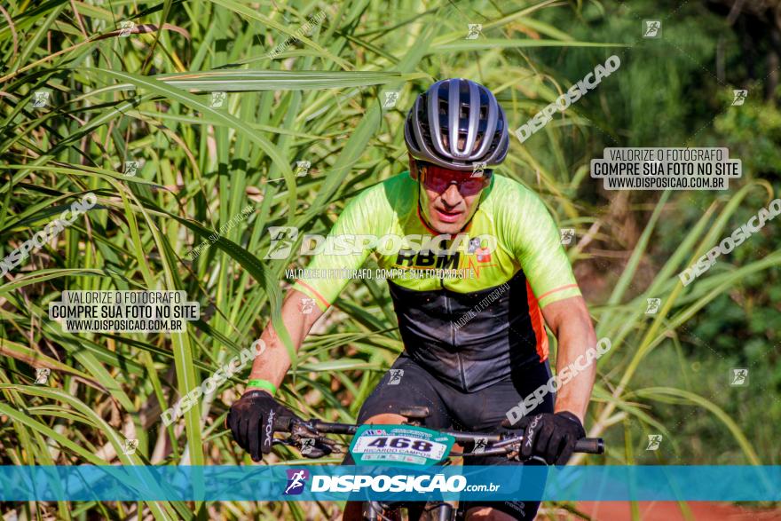 Circuito AEJ MTB 2023