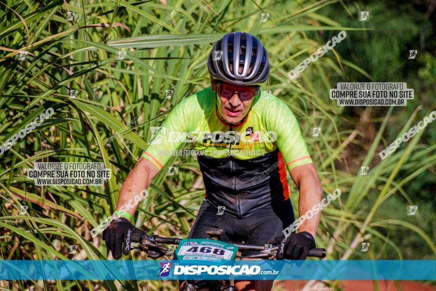 Circuito AEJ MTB 2023