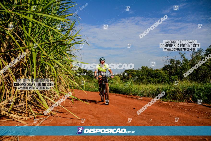 Circuito AEJ MTB 2023