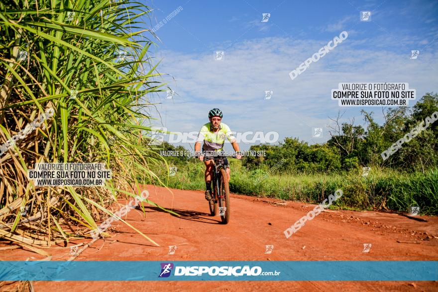 Circuito AEJ MTB 2023