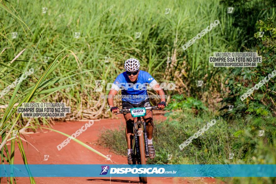 Circuito AEJ MTB 2023