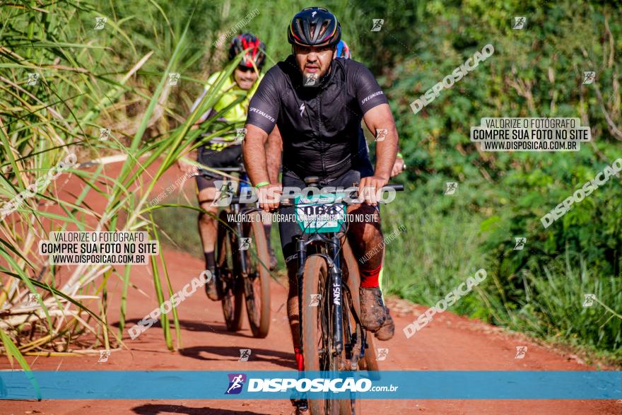 Circuito AEJ MTB 2023