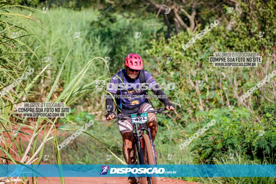 Circuito AEJ MTB 2023