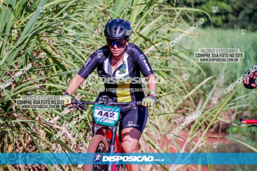 Circuito AEJ MTB 2023