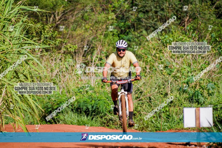 Circuito AEJ MTB 2023