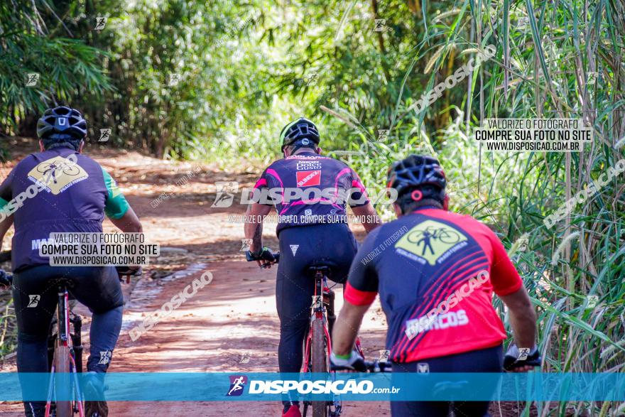 Circuito AEJ MTB 2023