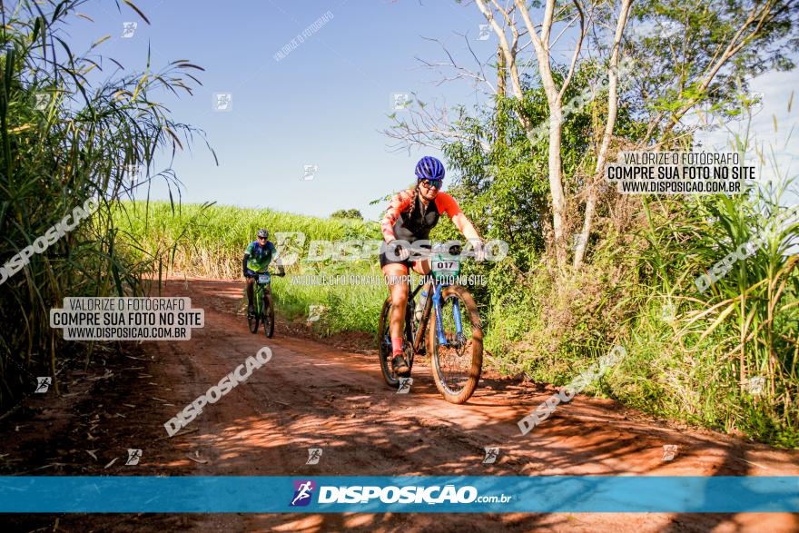 Circuito AEJ MTB 2023