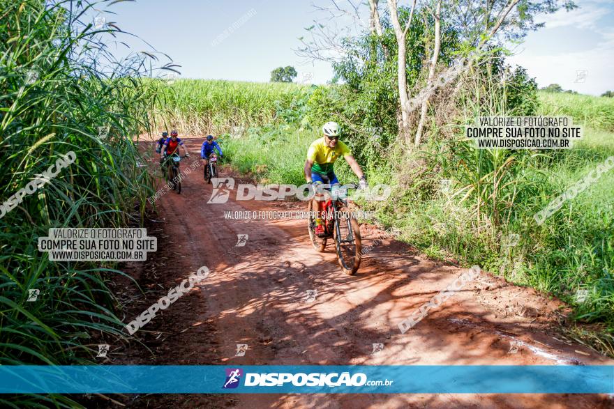 Circuito AEJ MTB 2023