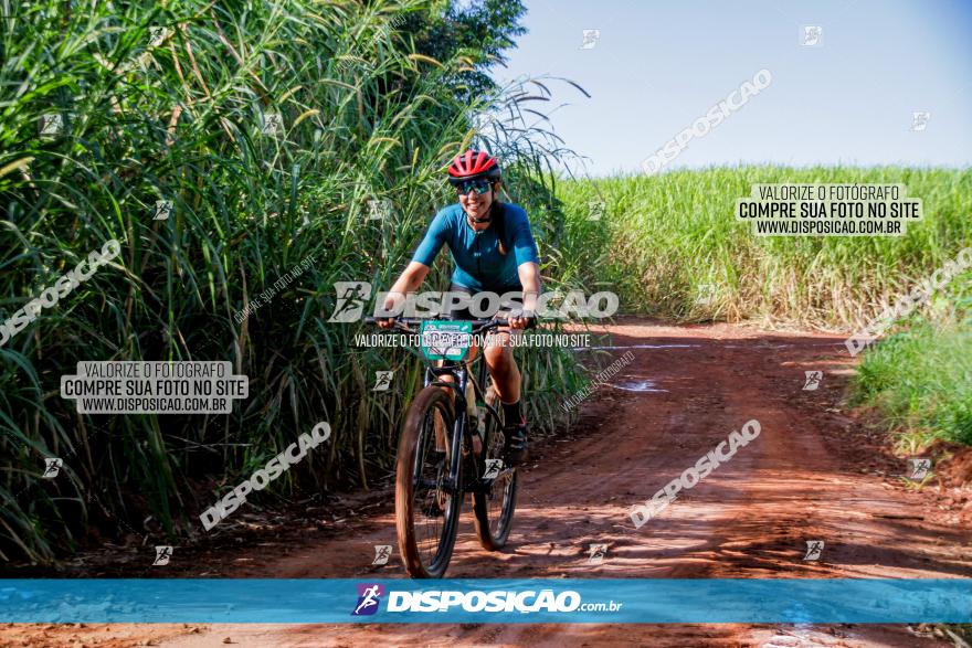 Circuito AEJ MTB 2023