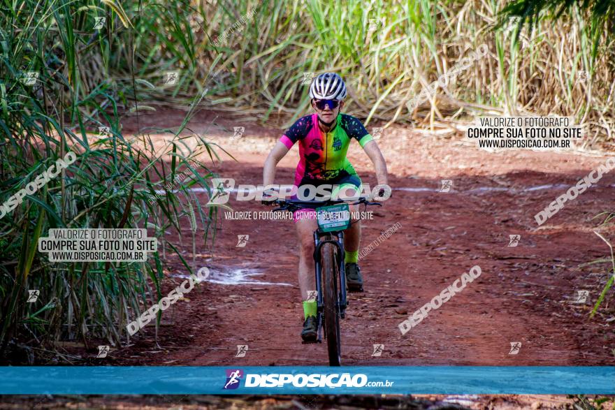 Circuito AEJ MTB 2023