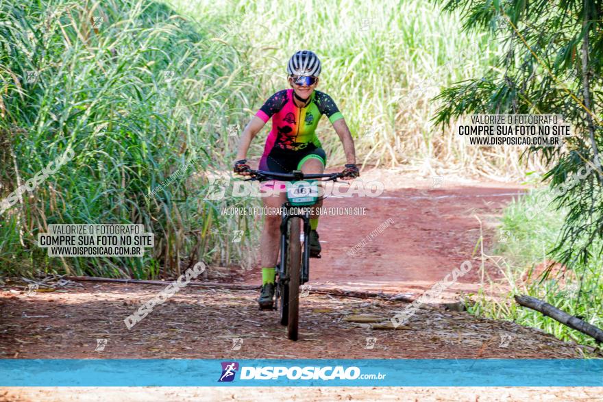 Circuito AEJ MTB 2023