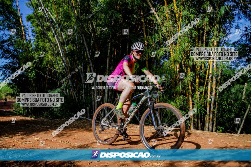 Circuito AEJ MTB 2023