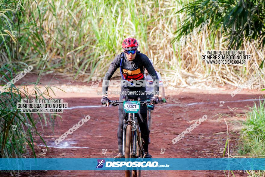 Circuito AEJ MTB 2023