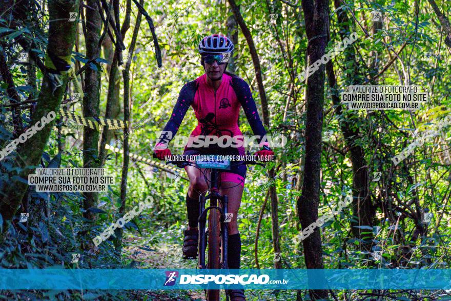 Circuito AEJ MTB 2023