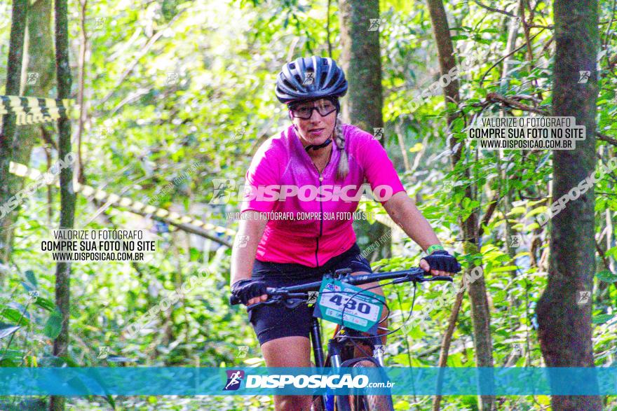 Circuito AEJ MTB 2023