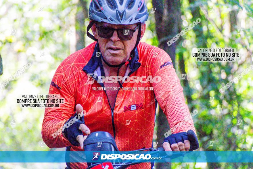 Circuito AEJ MTB 2023