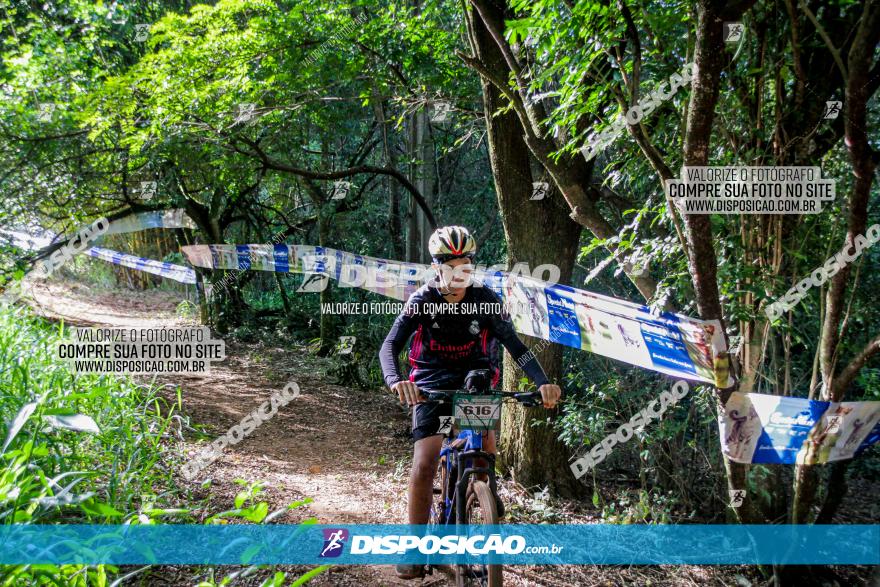 Circuito AEJ MTB 2023