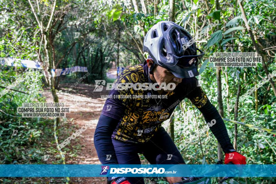 Circuito AEJ MTB 2023