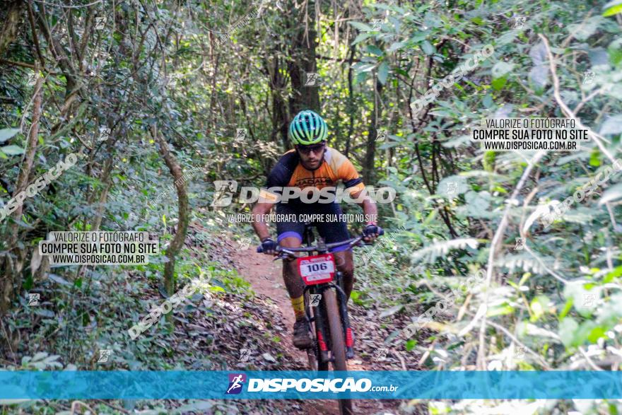 Circuito AEJ MTB 2023