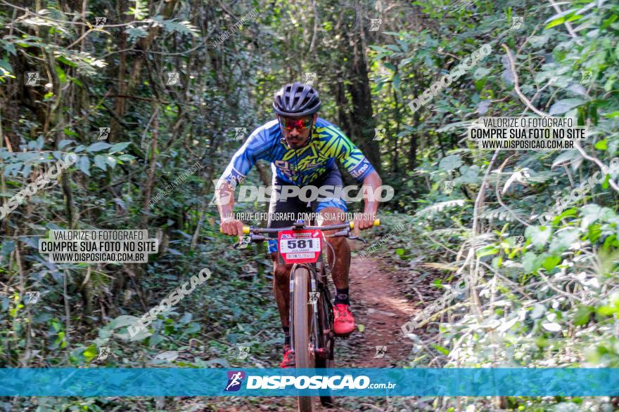 Circuito AEJ MTB 2023