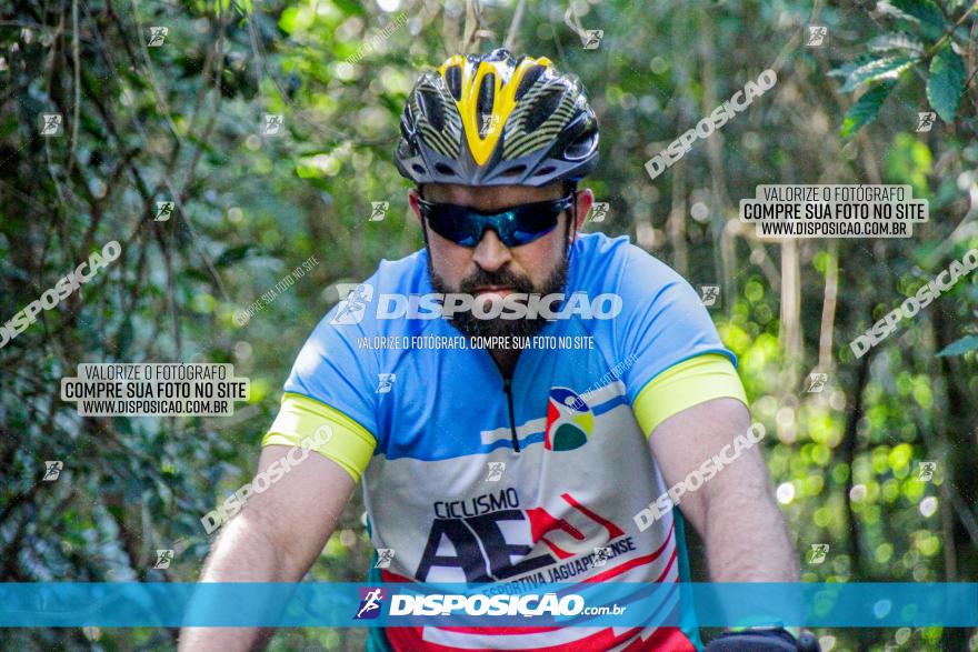 Circuito AEJ MTB 2023