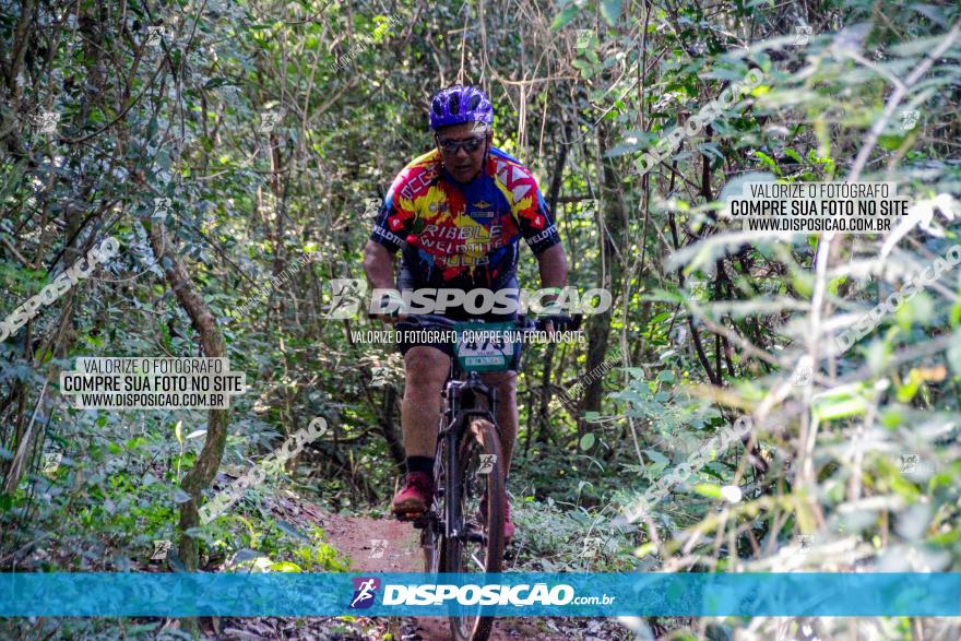 Circuito AEJ MTB 2023