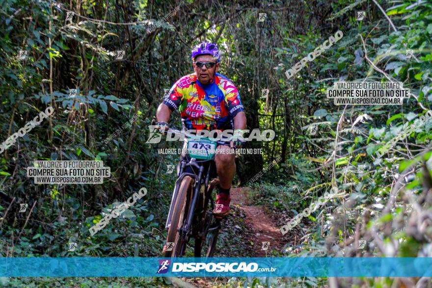 Circuito AEJ MTB 2023