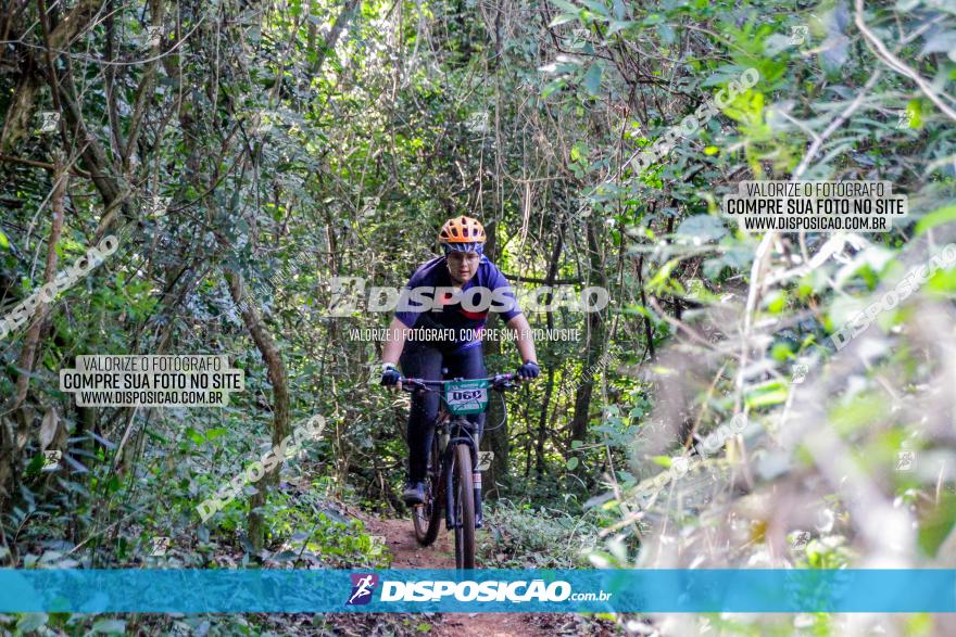 Circuito AEJ MTB 2023