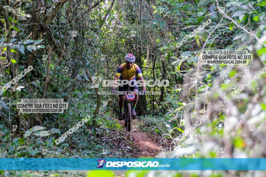 Circuito AEJ MTB 2023