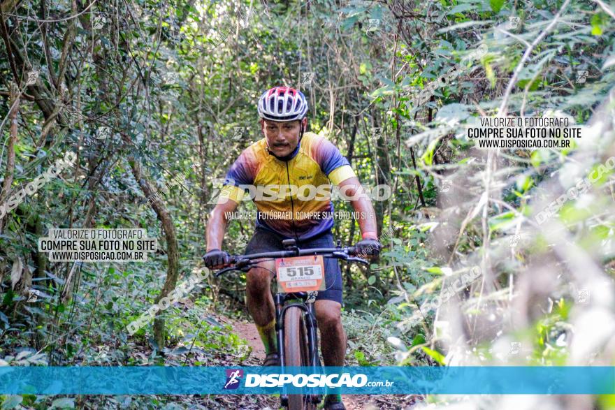 Circuito AEJ MTB 2023