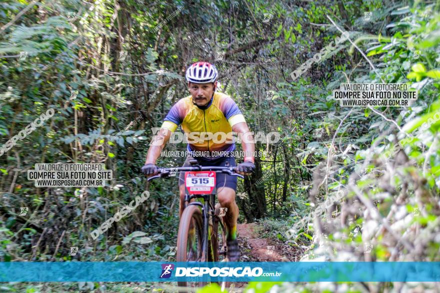 Circuito AEJ MTB 2023