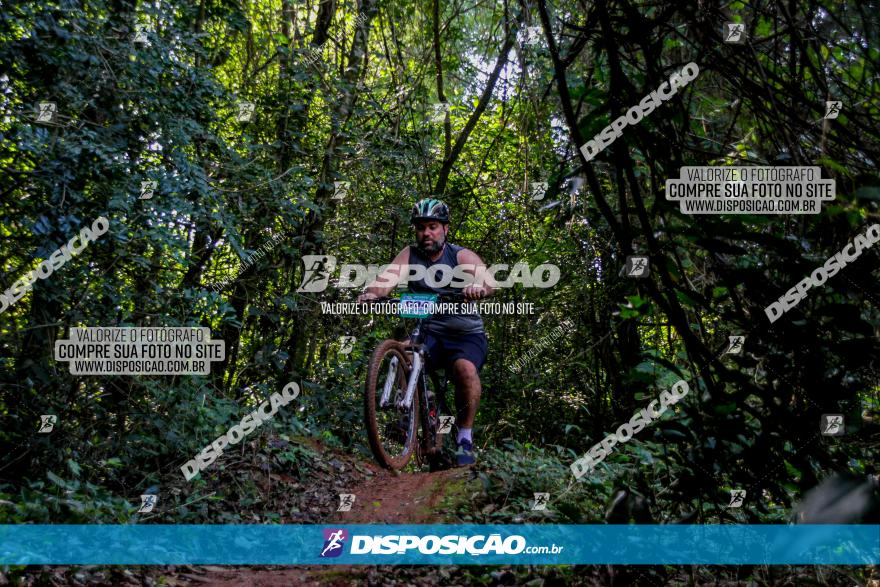 Circuito AEJ MTB 2023