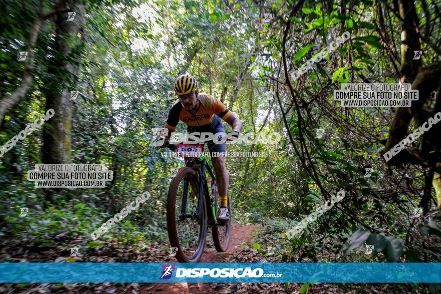 Circuito AEJ MTB 2023