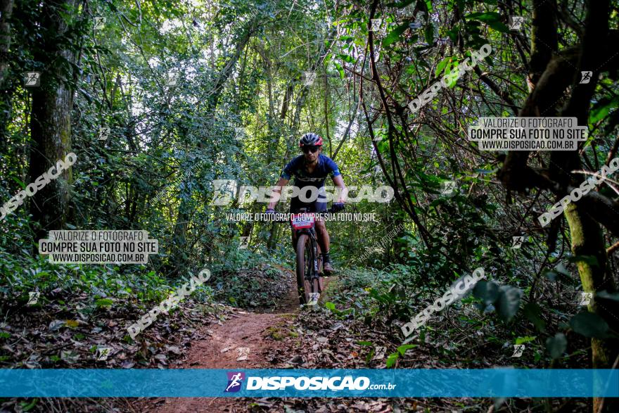 Circuito AEJ MTB 2023