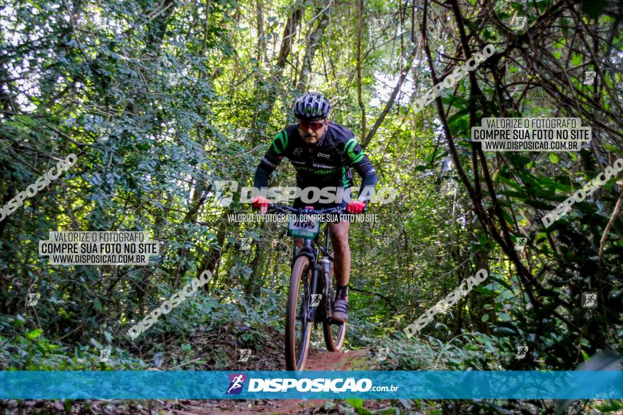 Circuito AEJ MTB 2023