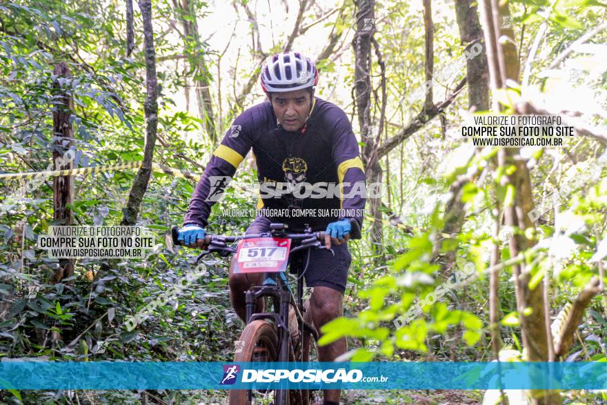 Circuito AEJ MTB 2023