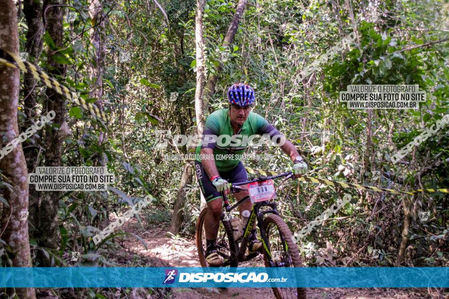 Circuito AEJ MTB 2023